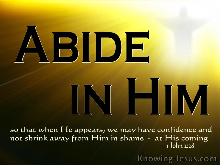 1 John 2:28 Little Children, Abide In Him (white)
